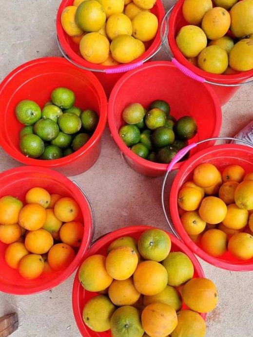 C7���ֹ���-�����ɼ��Ƿ�,����Ʒ�Ƶ�ʵ��