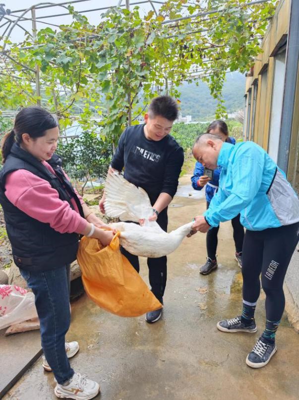 C7���ֹ���-�����ɼ��Ƿ�,����Ʒ�Ƶ�ʵ��