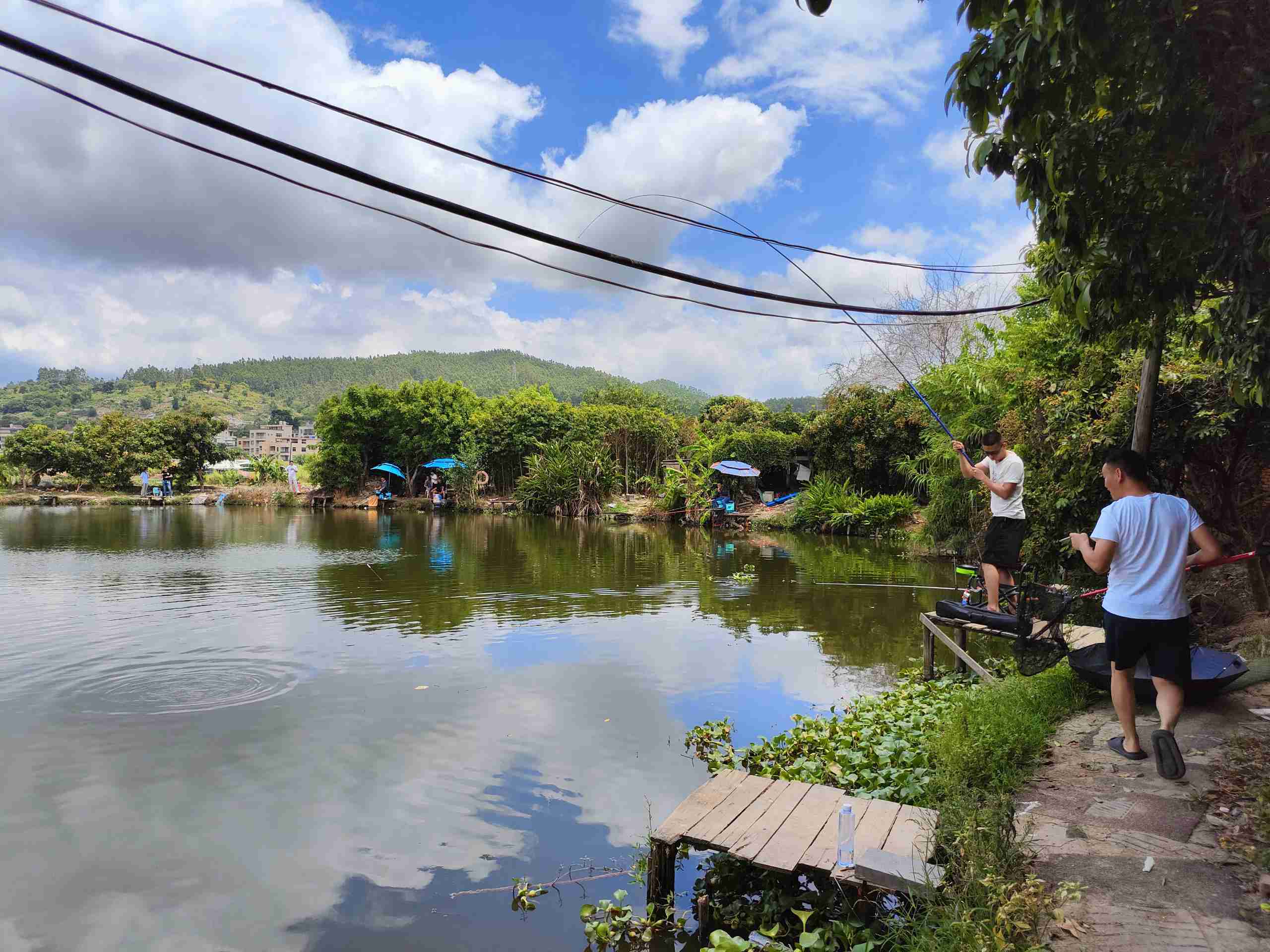 C7���ֹ���-�����ɼ��Ƿ�,����Ʒ�Ƶ�ʵ��